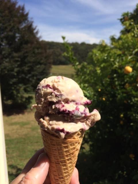 Lottie's At Fielderberry Farm Farm stay